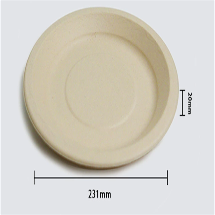 bamboo  tray  from disposablesInc.com.