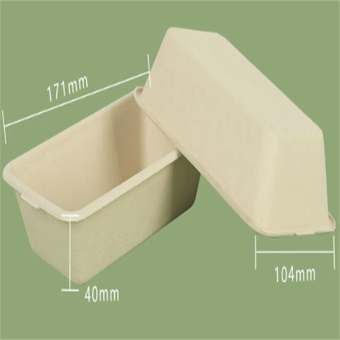 bamboo  bowl from disposablesInc.com.