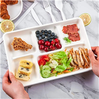 Food tray 6-grid