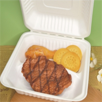 Biodegradable / sugarcane lunch / Take away box  from disposablesInc.com The best import service in China. Import your disposable items and products from us. 