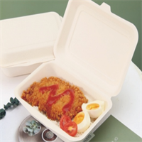 Biodegradable / sugarcane lunch / Take away box  from disposablesInc.com The best import service in China. Import your disposable items and products from us. 