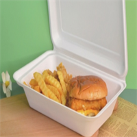 Takeaway  box / Clamshell                  25x16.5x6 cm     
