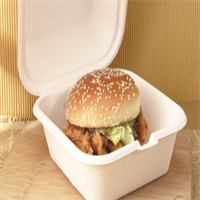 Biodegradable / sugarcane lunch / Take away box  from disposablesInc.com The best import service in China. Import your disposable items and products from us. 