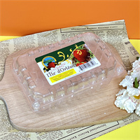 Plastic fruit contianers