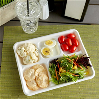 Food tray 5-grid