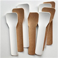 Ice cream spoon