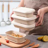 Biodegradable / Sugarcane food container with lid from disposablesInc.com The best import service in China. Import your disposable items from us.