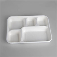 five compartments  container with lid