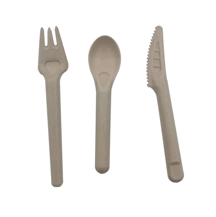 biodegradable / Sugarcane cutlery from disposablesInc.com. The best import service in China. Import your disposable items and products from us.