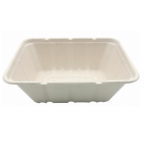 Food container rectangle